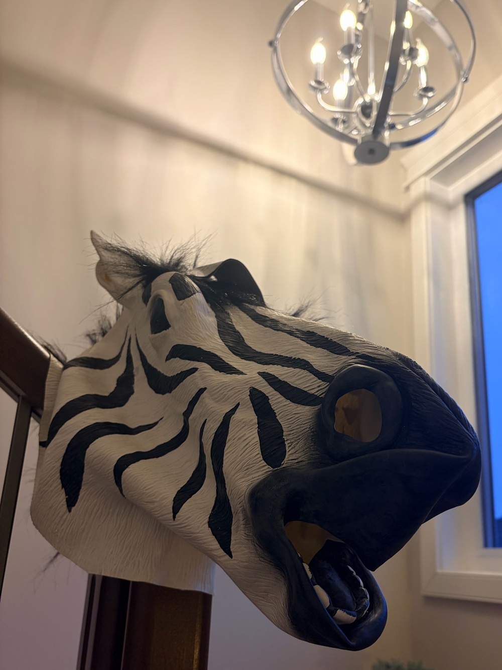 Latex Zebra Mask - Picture 3 of 5